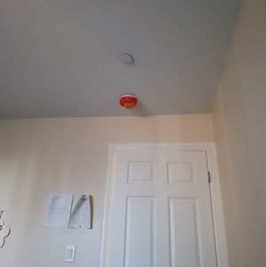 Meet your Posher, Nina